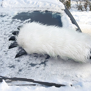 Как правильно счищать снег с автомобиля